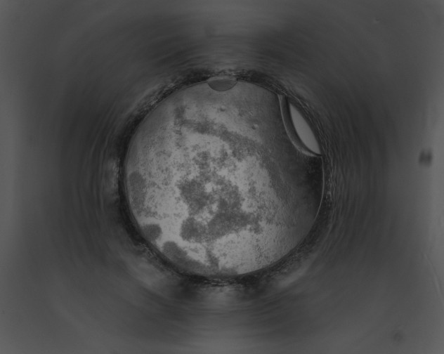 X0000091360646200708311505