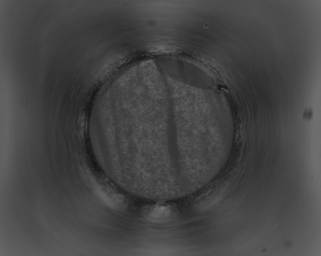 X0000091360647200708311505