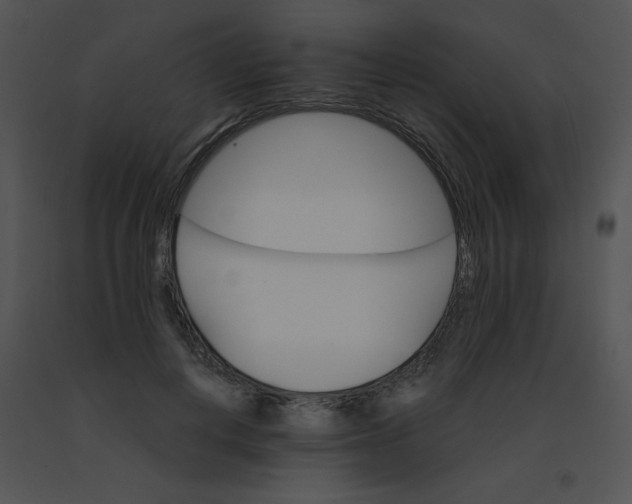 X0000091360648200708311505