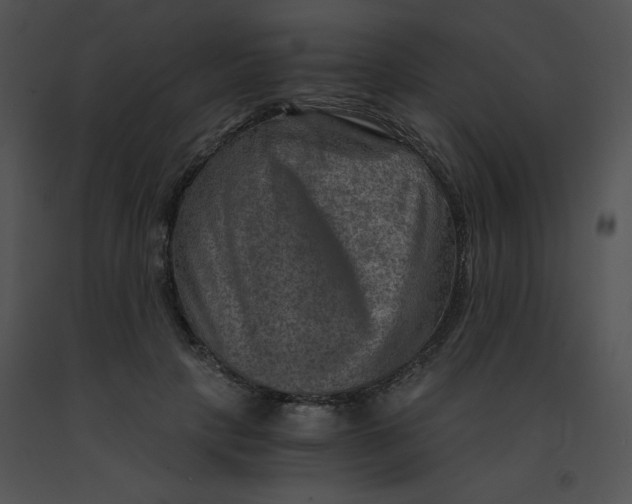 X0000091360649200708311505