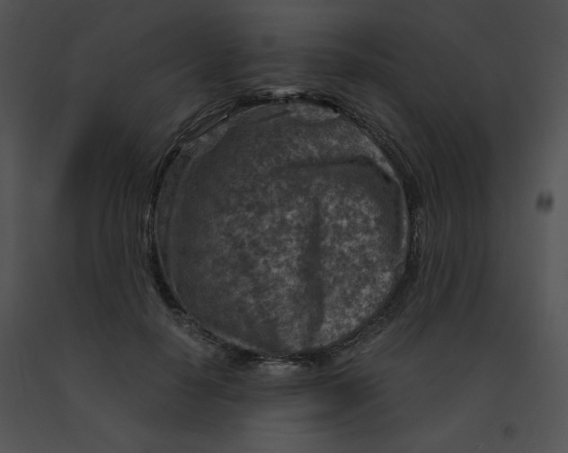 X0000091360650200708311505