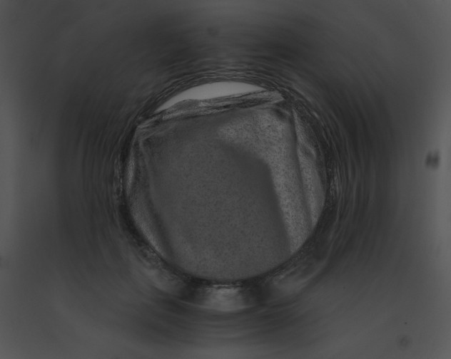 X0000091360651200708311505
