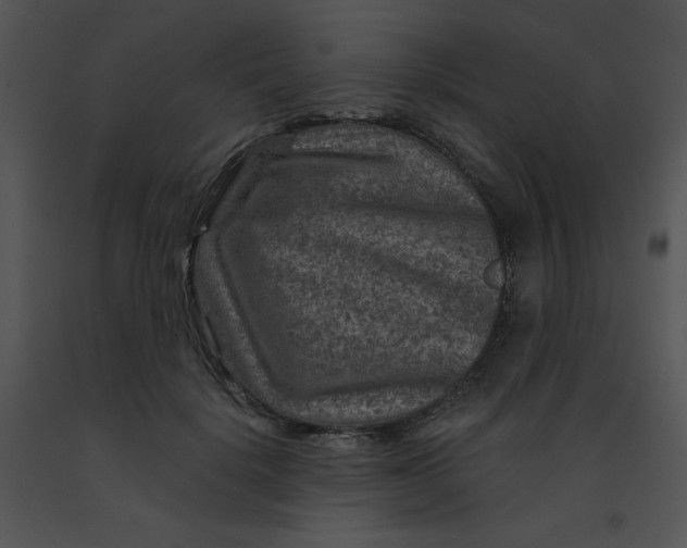 X0000091360652200708311505