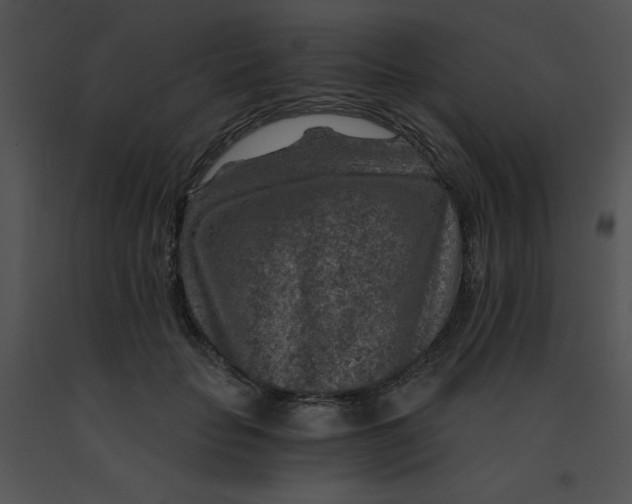 X0000091360653200708311505