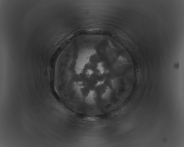 X0000091360654200708311505
