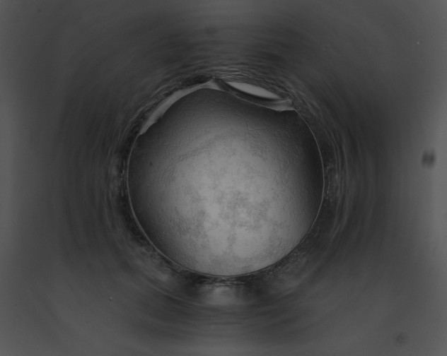 X0000091360655200708311506