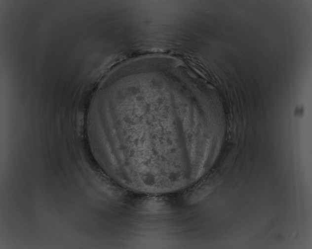 X0000091360656200708311506