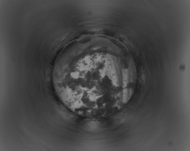 X0000091360658200708311506