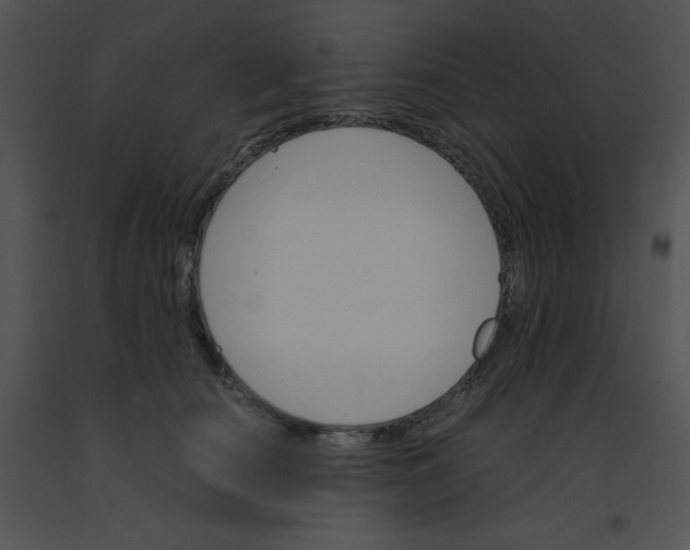 X0000091360660200708311506