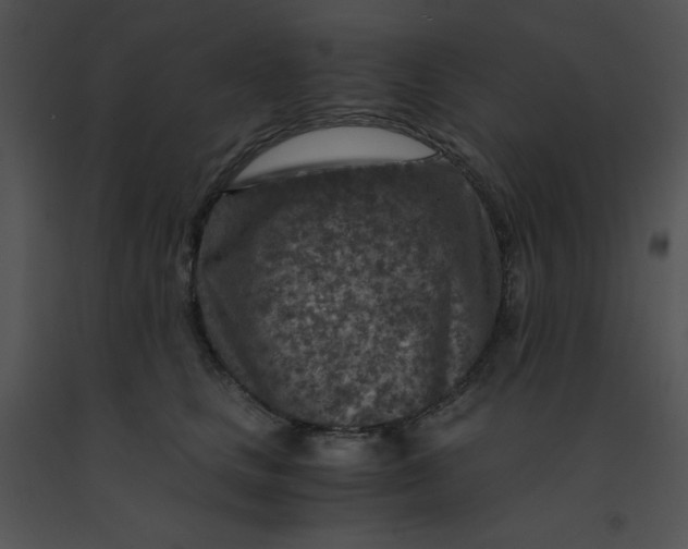 X0000091360661200708311506
