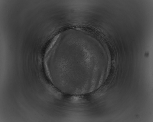 X0000091360662200708311506