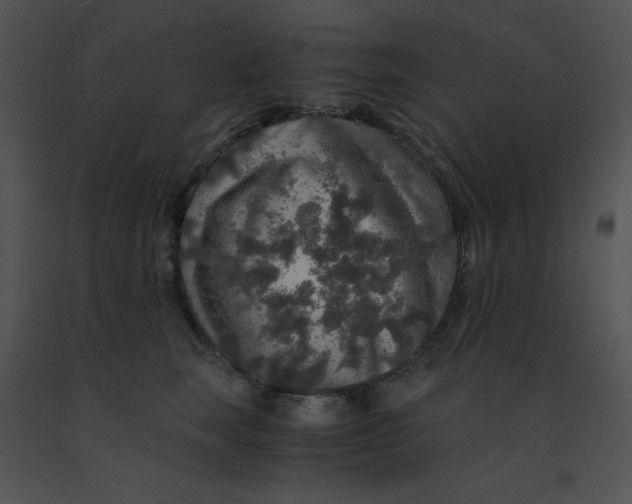 X0000091360663200708311506