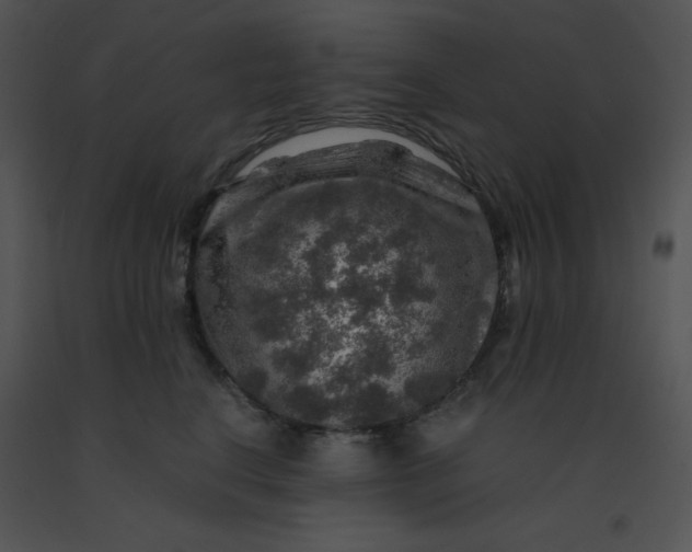 X0000091360664200708311506