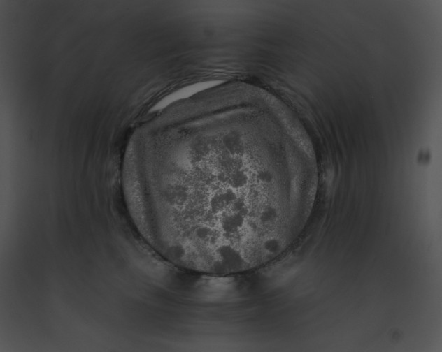 X0000091360665200708311506