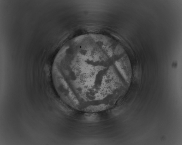 X0000091360667200708311506