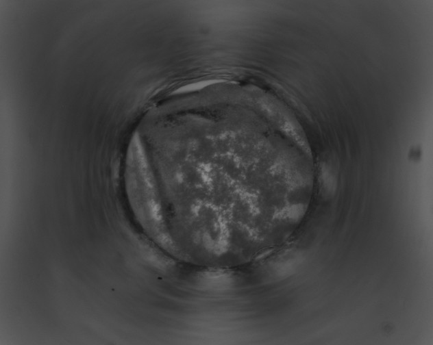 X0000091360668200708311506