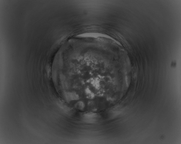 X0000091360669200708311506