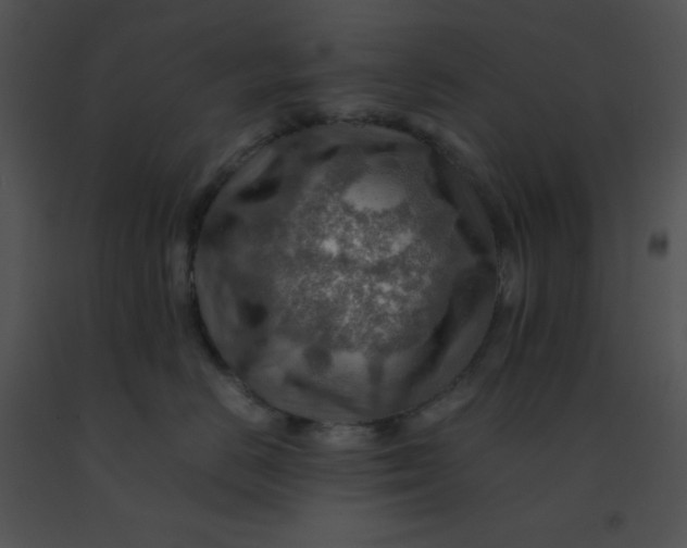 X0000091360670200708311506