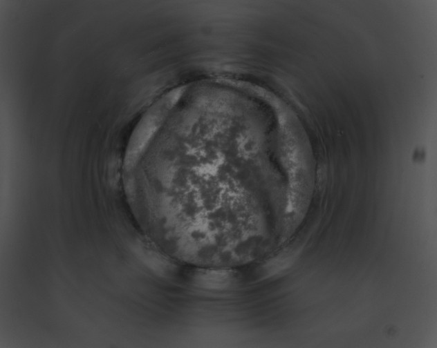 X0000091360671200708311506