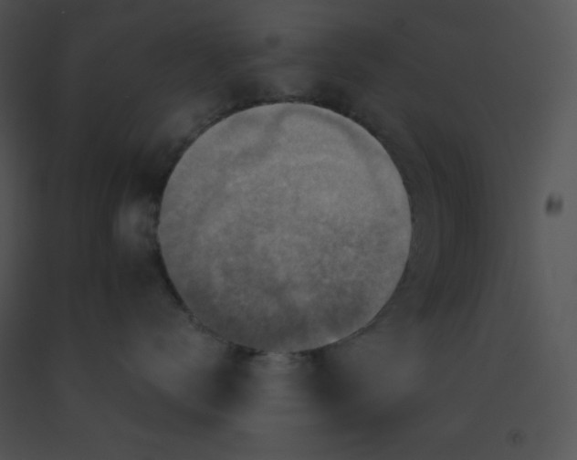 X0000091360672200708311506