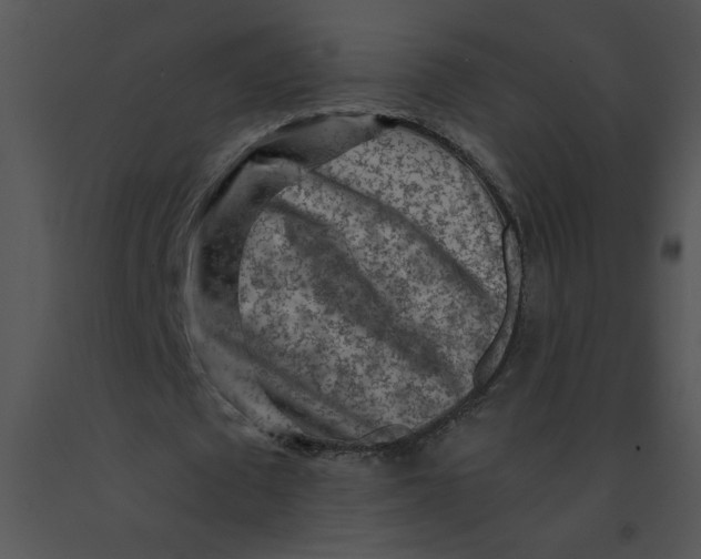 X0000091360673200708311505