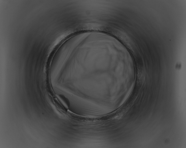 X0000091360674200708311505