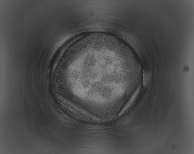 X0000091360675200708311505