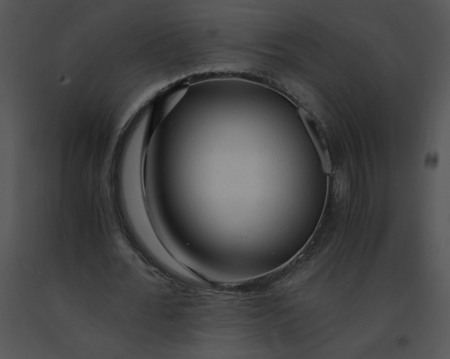 X0000091360676200708311505