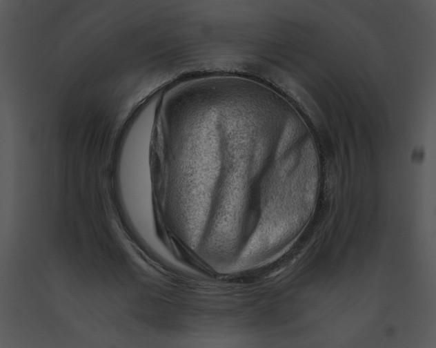 X0000091360677200708311505