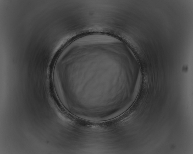 X0000091360678200708311505
