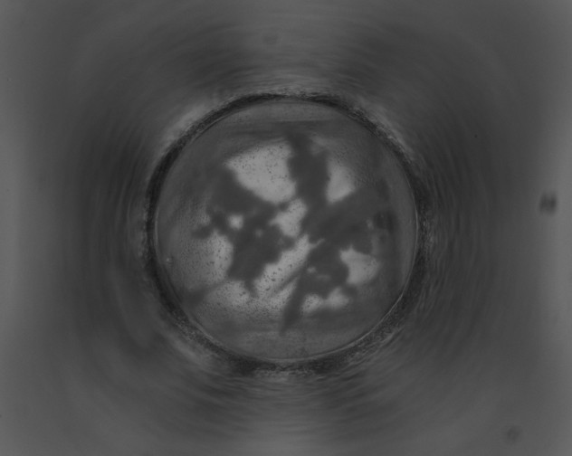 X0000091360679200708311505