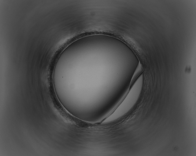 X0000091360680200708311505