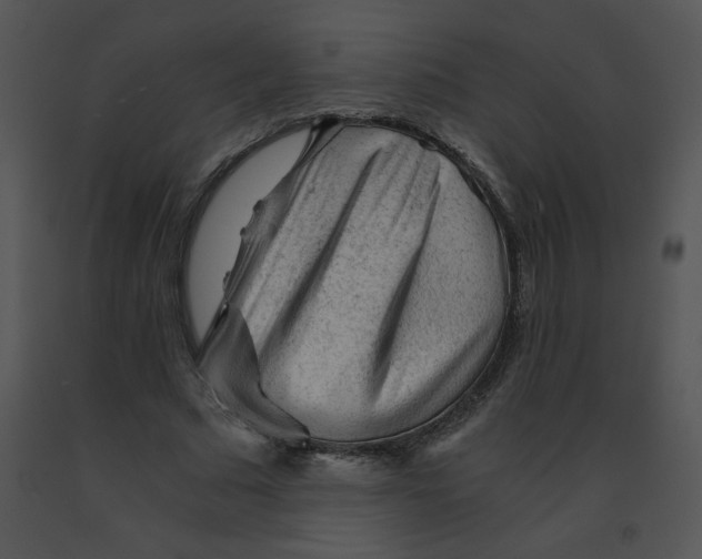 X0000091360681200708311505