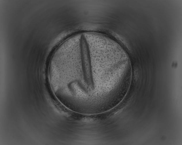 X0000091360682200708311505