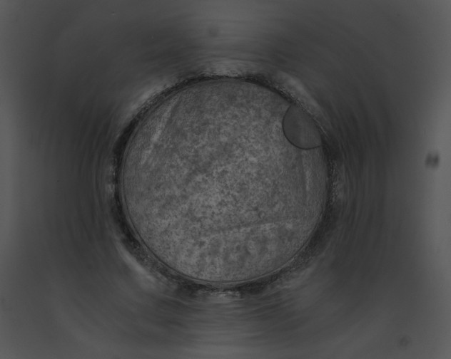 X0000091360683200708311505