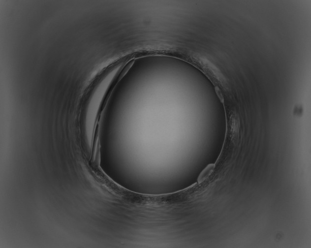 X0000091360684200708311505