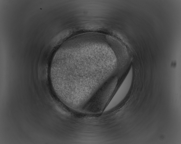 X0000091360685200708311505