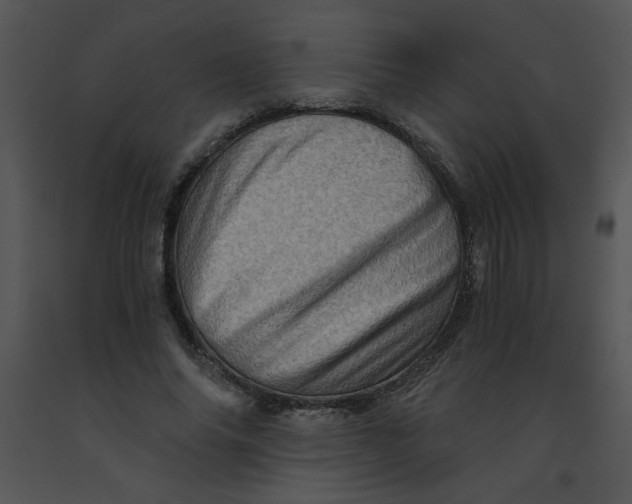 X0000091360686200708311505