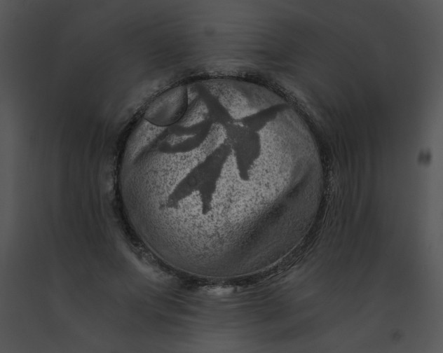 X0000091360687200708311505