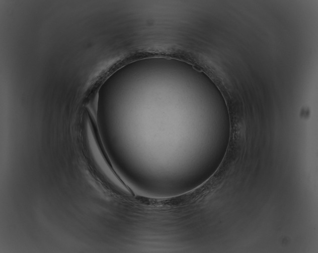 X0000091360688200708311505