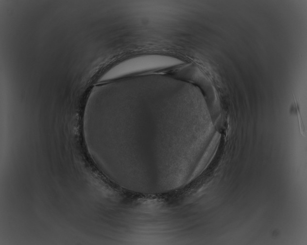 X0000091360689200708311505