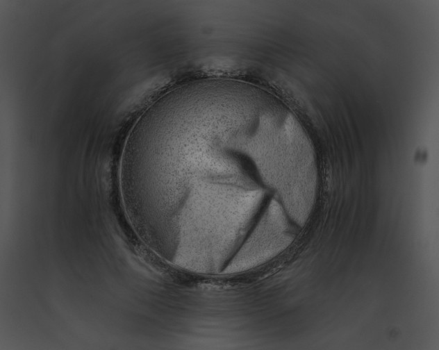 X0000091360690200708311505