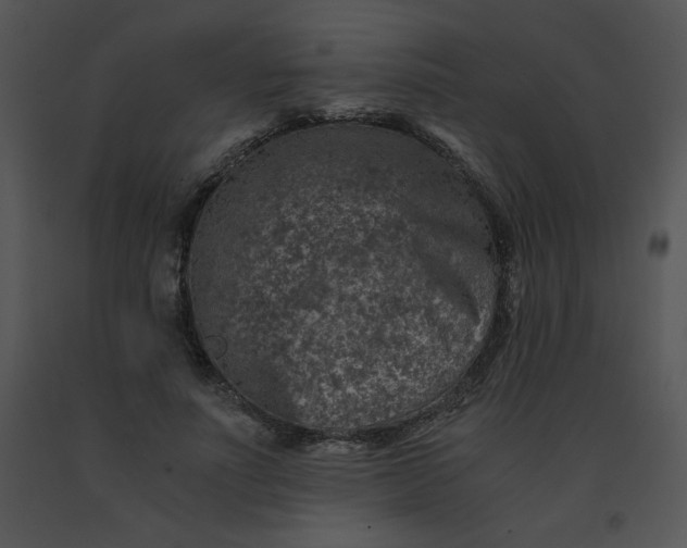 X0000091360691200708311505