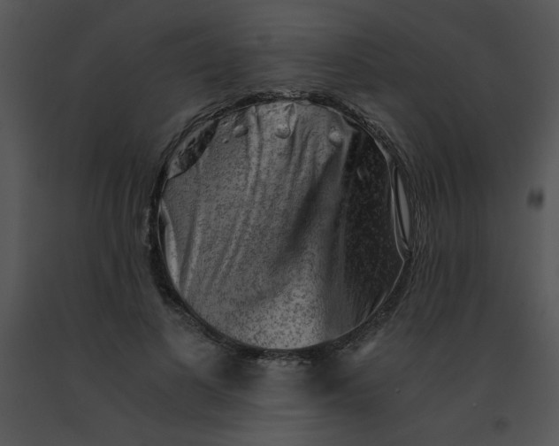 X0000091360693200708311505