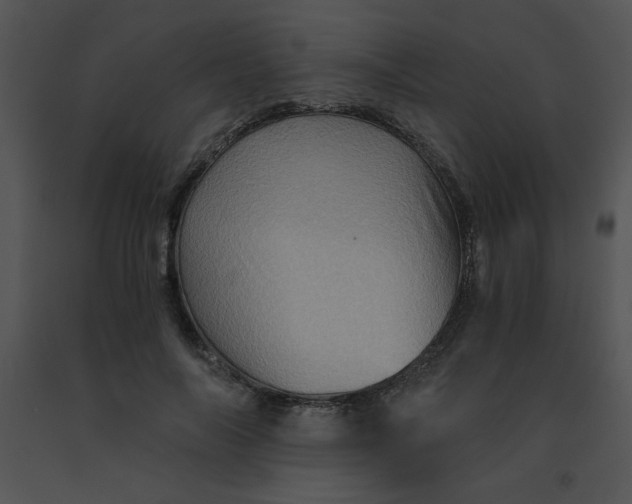 X0000091360694200708311505
