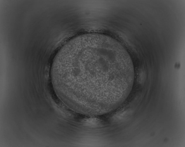 X0000091360695200708311505
