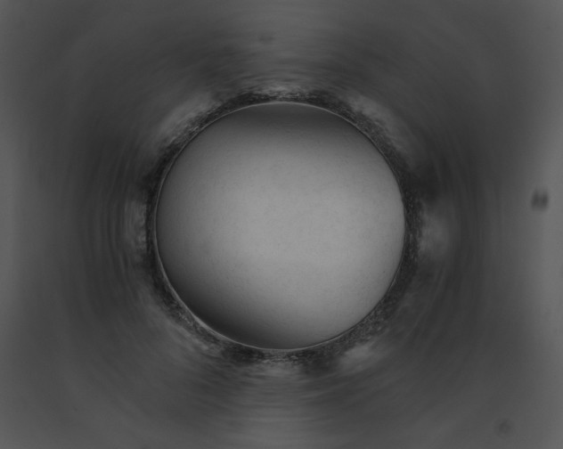 X0000091360696200708311505