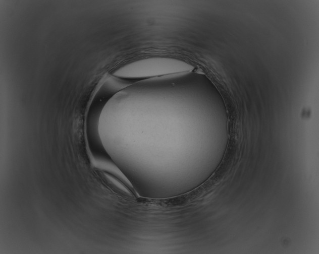 X0000091360697200708311505