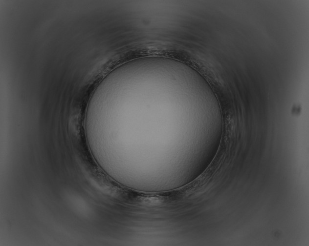 X0000091360698200708311505