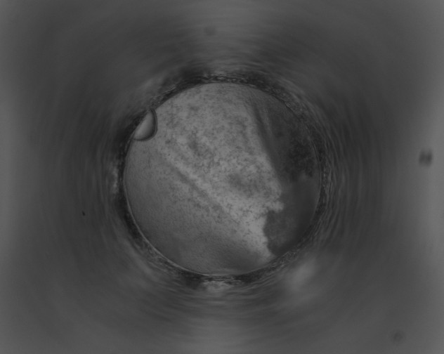 X0000091360703200708311505